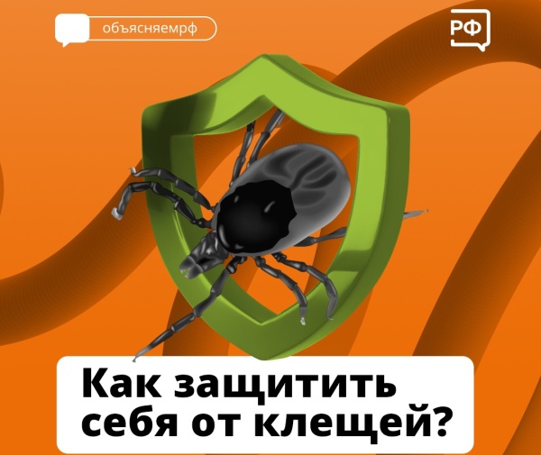 В Вологодской области начался сезон активности клещей: важно позаботиться о профилактике.